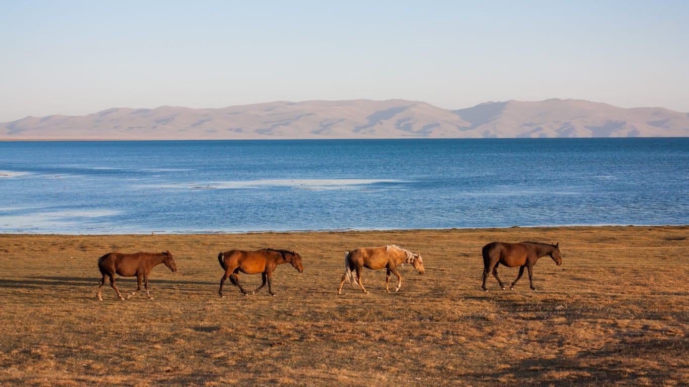 Hike Kyrgyzstan’s Silk Road in 5 days - Image 2