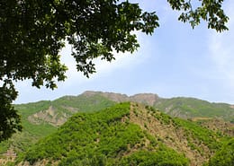 Azerbaijan (9)