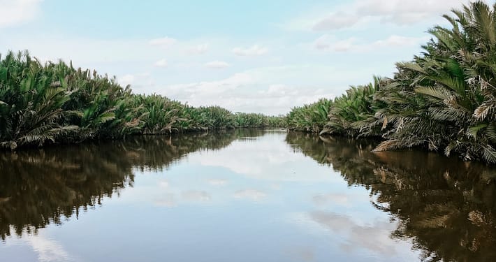 body of water between trees under cloudy sky