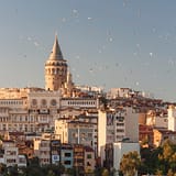 aerial view of buildings and flying birds