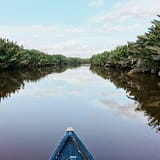 body of water between trees under cloudy sky