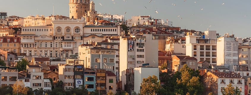 aerial view of buildings and flying birds